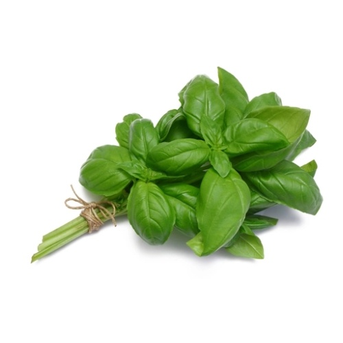 Basil Italian